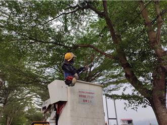 修剪樹木不慎誤觸高壓電 工人雙手灼傷住加護病房觀察