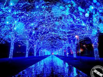 東京耶誕跨年限定版 蒐羅東京四大浪漫亮「點」！