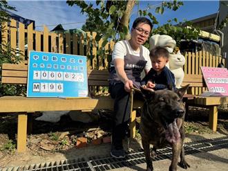 助流浪毛孩找到家 中和暖心動保團體13年助數百動物尋到歸屬