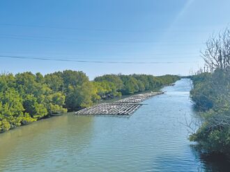 台江國家公園種紅樹林 增碳匯
