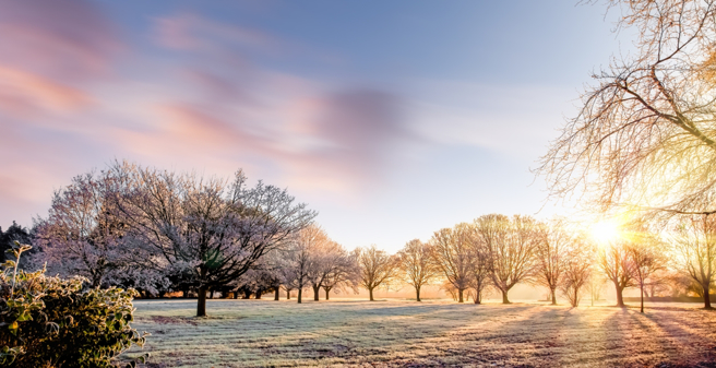 大雪节气过后，鼠、牛、龙、猴4生肖财务状况会越来越好。（示意图：Shutterstock／达志）