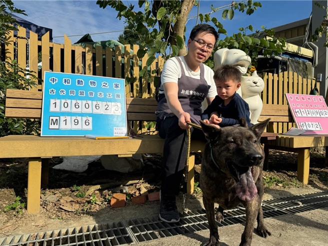 新北动保处在8所动物之家推行毛宝贝生活优化政策，周末假日志工也会协助让每只狗出来晒太阳与动物互动，当中「古代同盟会」动保团体在每周六日固定到中和、新店动物之家服务，至今已服务超过10年，协助认养超过数百只犬猫。（新北动保处提供）