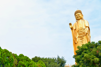 阿彌陀佛加持！12生肖迎2025好運 屬雞升官加薪