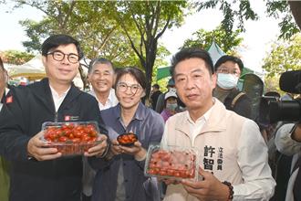 路竹番茄歉收剩4成！陈其迈吁：奇货可居