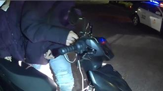 深夜猴子群聚擾人清夢 中壢警方攔查開罰