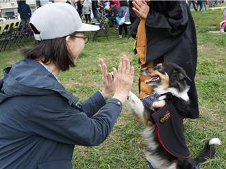 新竹毛小孩運動會超萌走秀 「爸媽」笑翻天