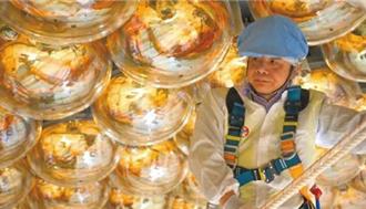 江門中微子實驗領先美國5年  陸科院士：第一最重要  老二啥也不是