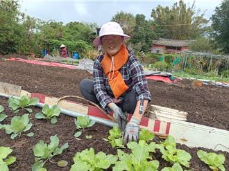 想當都市農夫嗎？新北4處市民農園等你來體驗