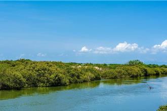 監委：8重要溼地未完成保育審議  國家公園署回應