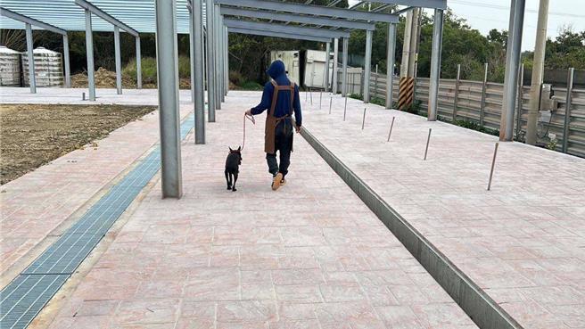 苗栗县政府动防所鼓励辅导民间狗场合法登记。（苗栗县政府提供／谢明俊苗栗传真）