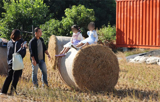 雲林縣林內鄉農會7日舉辦「林內鄉農會優質米糧-龍稻陣來」活動，縣長張麗善表示透過食農教育可升級雲林農業，持續朝淨零永續目標邁進。（雲林縣政府提供／張朝欣雲林傳真）