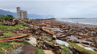小心有毒！撿拾漂流木疑見水母 花蓮縣府籲：勿赤腳到海邊