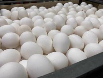 醫美害命 負責人遭起底：也是「超思蛋人頭公司」負責人