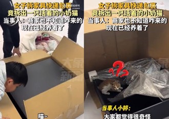 網購家具拆封多隻招財貓！ 陸女：莫名就當上了「鏟屎官」