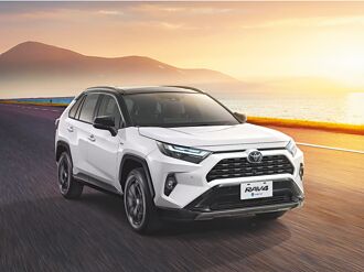 特仕車年終拚買氣