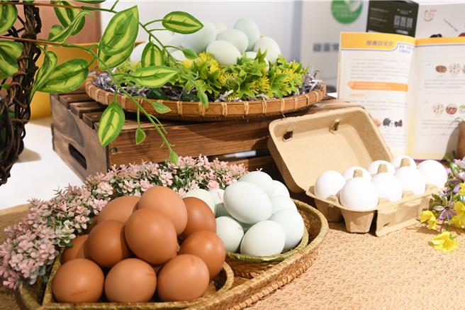 彰化縣推動校園午餐營養計畫，全縣約9萬名學童，提供每周3顆雞蛋的多元膳食，總計每周將食用27萬顆雞蛋，蛋農、學童都受惠。（葉靜美攝）