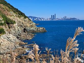 從釜山到高城 漫步海波朗路 探索韓國東海岸自然奇觀