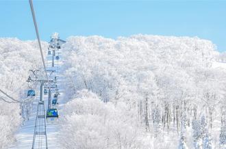 雙12挑戰市場最低價！12／12 旅天下機票、跟團買1送1