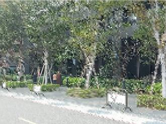 长照人伦悲剧 陈菁徽指必须落实互助式喘息