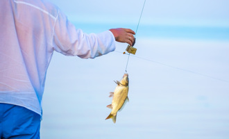 釣魚釣到「畢業論文」？身上有神祕編號 出處找到了