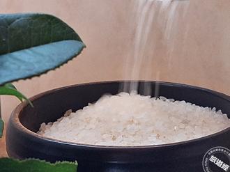 台灣米登國際舞台爭光 廣告業轉行當稻農奪日本競賽金賞