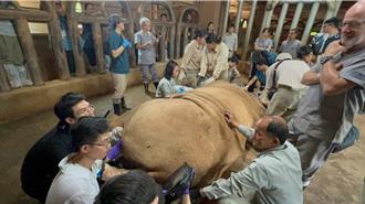 成為國際動物園組織正式會員 六福村盼增進動物福祉