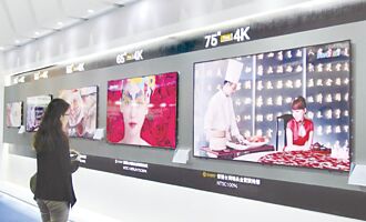 面板雙虎 11月營收齊高歌