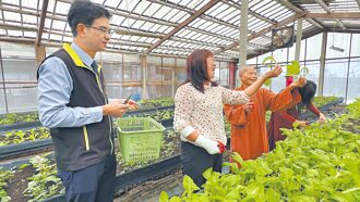 台南米樂休閒農業區 拚12／27過關