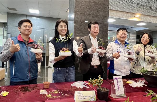 「青农新食代南投猪猪嘉年华」不仅有小农市集、精彩表演，还有丰富的体验课程。（杨静茹摄）