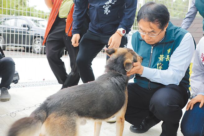 台南仁德的「毛孩森活村」是全國第一座由公部門設立的遊蕩犬暫置友善場域，市長黃偉哲期待能為人犬衝突帶來新解方。（台南市政府提供／曹婷婷台南傳真）