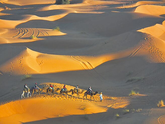 騎駱駝上沙丘群賞日出日落的觀光客。（蔡適任攝）