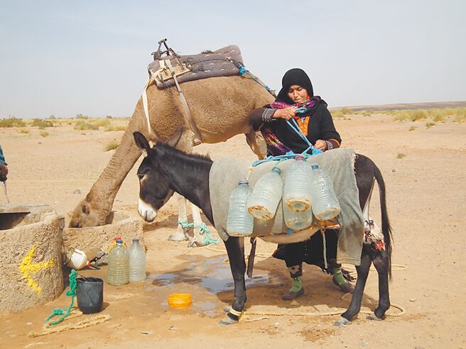 趕驢到井邊汲水的奈伊瑪。（蔡適任攝）