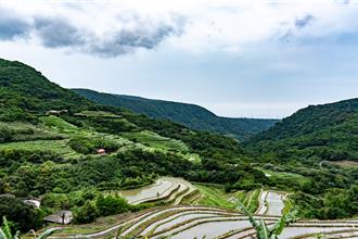 新北永續農業三生兼顧 生態給付擴大、冷鏈提升產銷