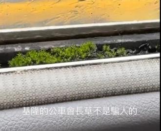 基隆公車車窗長青苔 網友譏：好棒喔 生態公車
