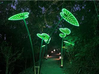 屏東「奇幻大津」明年停辦 夜探光影瀑布至少再等1年