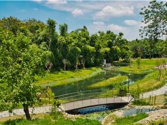 台南竹溪水岸改善工程獲金質獎 保留森林兼具排水功能