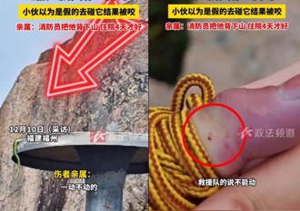 登山巧遇長長的青竹絲！ 陸男手欠挑逗的下場「住院四天」