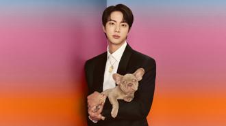 防弹少年团Jin抱毛小孩入镜  萌气爆棚