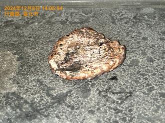 太扯！內湖社宅水管倒流 清管線驚見「完整肉排」