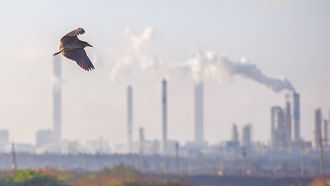 虧損壓力＋股價破底  台塑化出手了  擬發行百億公司債