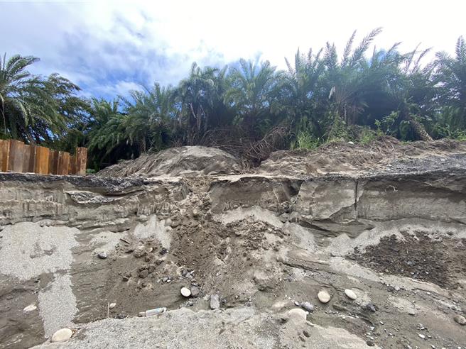 花蓮縣道193線北段正展開拓寬工程，工程人員上月卻在沿線新城鄉「加灣普查考古遺址」旁，發現幾枚疑似史前陶片及石片器出土，文化局為此前往現勘並協請廠商調整施工順序暫時對該區停工。（花蓮縣文化局提供／羅亦晽花蓮傳真）