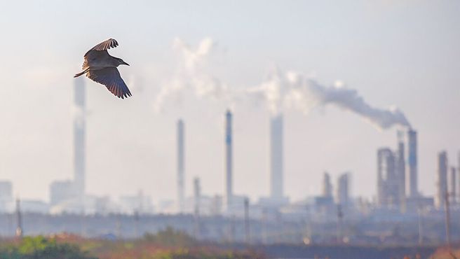 台塑化决议发行114年度无担保公司债，总金额不超过100亿元。(资料照片)