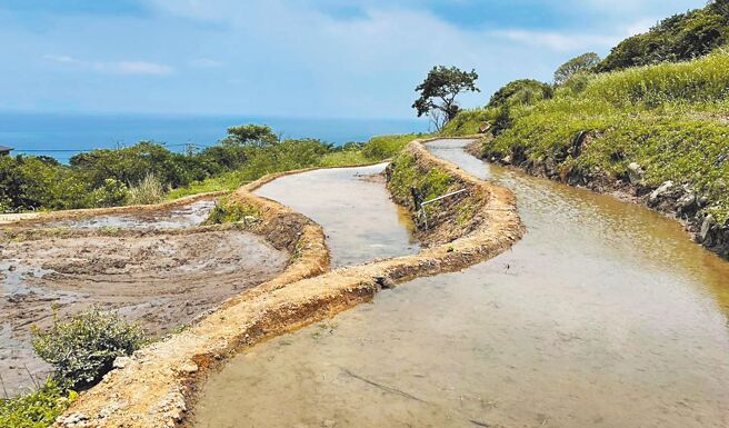 新北市農業局2021年起配合中央辦理「重要棲地生態服務給付推動計畫」，農友每公頃最高可獲得7萬元的「生態薪水」，4年發出逾300萬元。圖為金山水梯田。（陳慰慈攝）