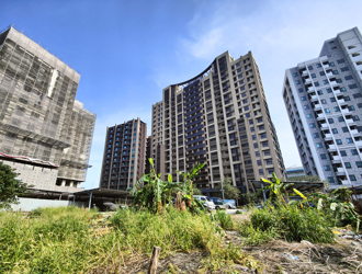 怎么回事？金龙海啸后 建照量竟然喷出1.26万