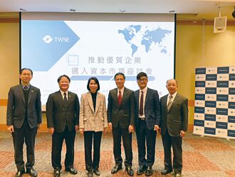 資本市場服務團助籌資