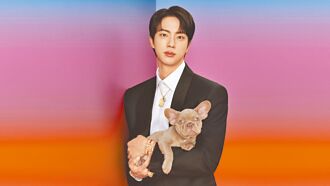 BTS Jin抱毛孩入镜 萌气爆棚