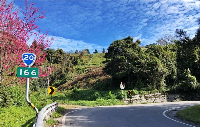 南横公路樱花盛开美景。（公路局提供／蔡明亘台北传真）