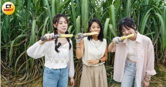 台糖首任總經理 曾在內江建糖廠