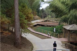 雲林草嶺石壁森林療癒基地啟動 探索「無藥而癒」自然奇蹟