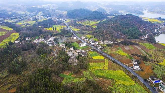 大陆人工林面积居首位已成全球增绿贡献最大国家。（大陆央视）